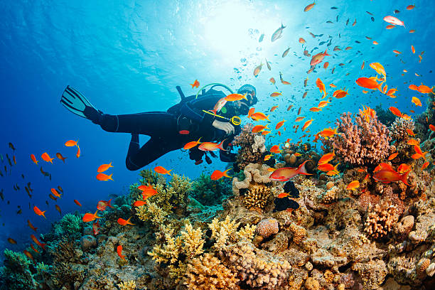 Les meilleures activités nautiques en Corse : plongée, snorkeling et balades en mer incontournables