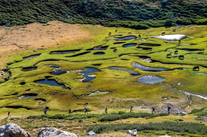 Pozzines du plateau de Cuscione
