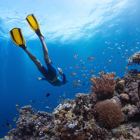 Plongée et snorkeling en Corse